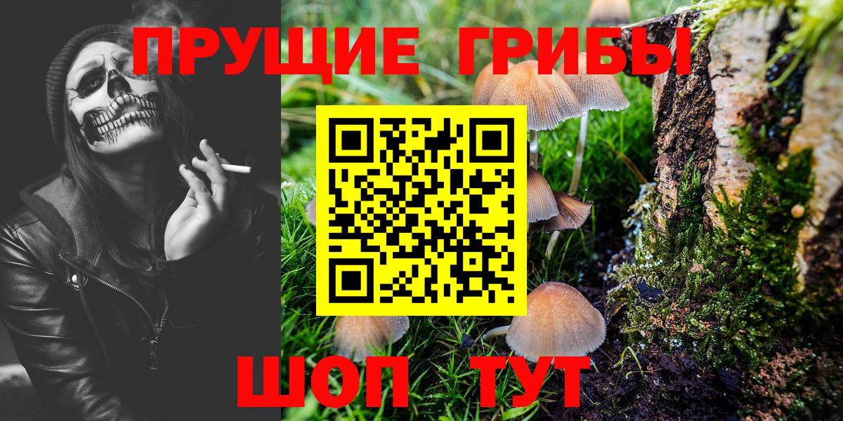Верхний Уфалей  Псилоцибиновые грибы мицелий  наркошоп  Вход с VPN 