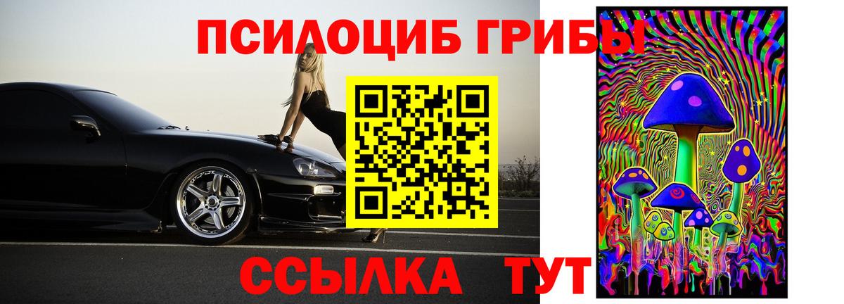 Псилоцибиновые грибы GOLDEN TEACHER Верхний Уфалей
